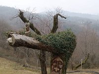 Badia Calavena  01 03 2026 (15)