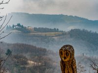 Badia Calavena  01 03 2026 (18)