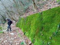 Badia Calavena  01 03 2026 (28)