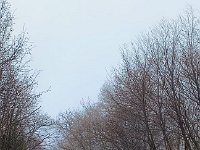 Badia Calavena  01 03 2026 (37)