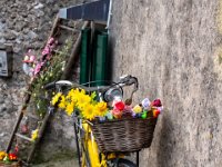 Badia Calavena  01 03 2026 (40)