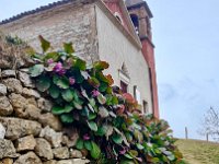 Badia Calavena  01 03 2026 (48)