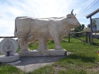 campofontana (13)