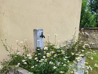 campofontana (4)