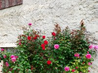 campofontana (7)