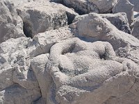 caorle 03 05 2026 (11)