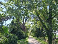 caorle 03 05 2026 (13)