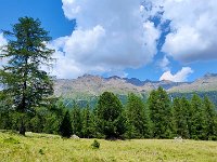 VAL D ULTIMO (12)