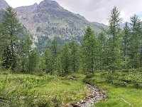VAL D ULTIMO (14)