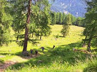 VAL D ULTIMO (15)