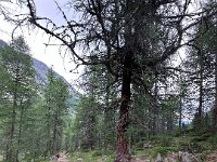 VAL D ULTIMO (24)