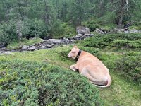 VAL D ULTIMO (26)