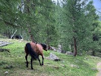 VAL D ULTIMO (28)