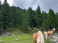 VAL D ULTIMO (30)