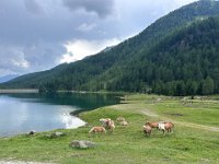 VAL D ULTIMO (31)