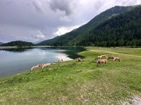 VAL D ULTIMO (33)