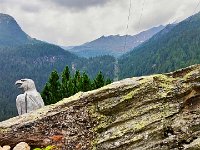 VAL D ULTIMO (6)