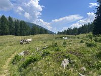 VAL D ULTIMO (7)