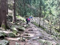 Vilminore BG  (29)