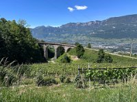 SAN LUGANO-EGNA-LAVIS 310526 (1)