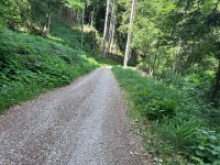 SAN LUGANO-EGNA-LAVIS 310526 (6)