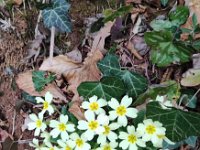 Dorsale delle frazioni  15 02 26 (13)