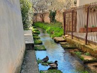 Dorsale delle frazioni  15 02 26 (42)