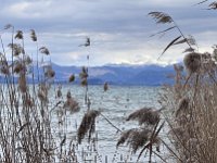 lazise peschiera 150326 (1)