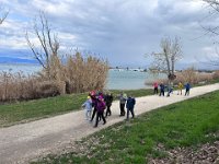 lazise peschiera 150326 (11)