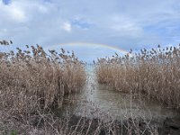 lazise peschiera 150326 (12)