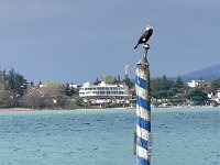 lazise peschiera 150326 (16)