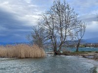 lazise peschiera 150326 (8)