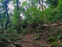 S.Andrea Sprea 26 07 26  (13)