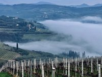 San Briccio 08 02 2026 (19)