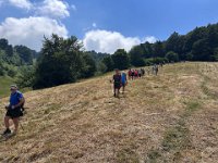Sega di Ala 120726 (18)