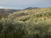 01 MEZZANE (24)