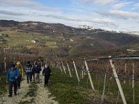 01 MEZZANE (4)
