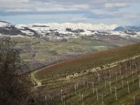 01 MEZZANE (5)