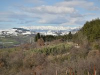 01 MEZZANE (9)