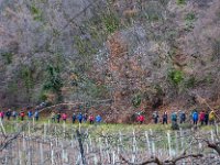 02 CASTECERINO (19)