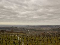 02 CASTECERINO (5)