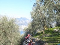 04 ASSENZA (12)