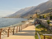 04 ASSENZA (26)