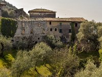 04 ASSENZA (4)