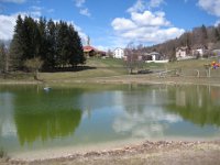 07 LAVARONE DRAGO DI VAIA (14)