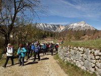 07 LAVARONE DRAGO DI VAIA (30)