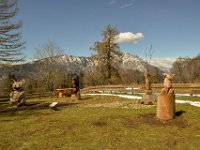 07 LAVARONE DRAGO DI VAIA (39)
