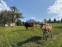 09 VAL CANALI  (46)
