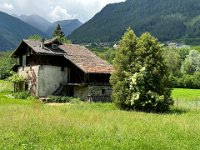 10 CICLOPEDONALE VAL DI SOLE  (16)