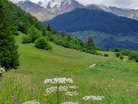 10 CICLOPEDONALE VAL DI SOLE  (26)